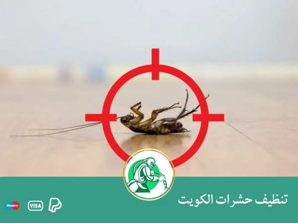 تنظيف حشرات الكويت